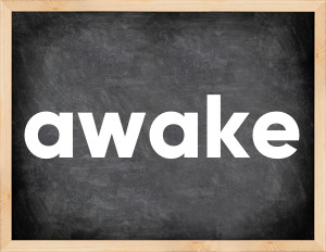 3 forms of the verb awake