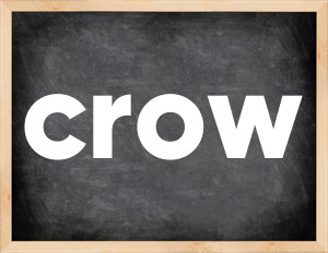 3 forms of the verb crow