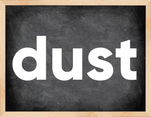 3 forms of the verb dust