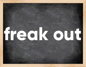 3 forms of the verb freak out
