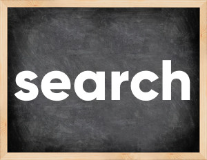 3 forms of the verb search