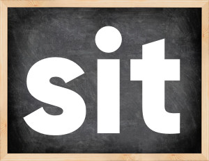 3 forms of the verb sit