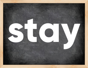 3 forms of the verb stay in English