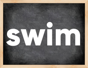 3 forms of the verb swim in English