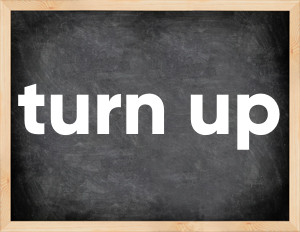 3 forms of the verb turn up